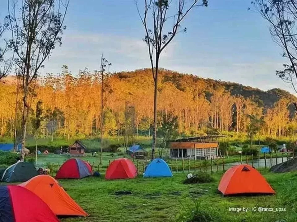 Tempat Camping BandungRanca Upas ciwidey